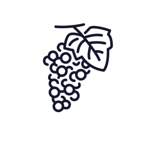 pictogramme raisin