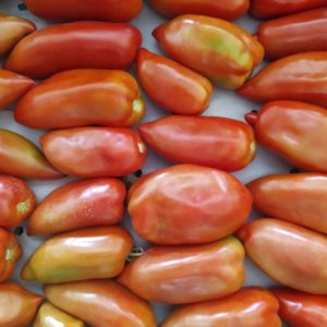 Tomate Corne des Andes