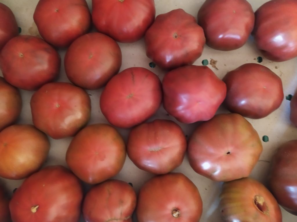 Tomate Marnero