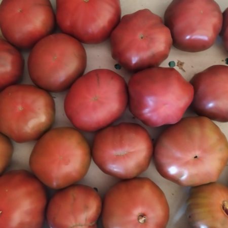 Tomate Marnero