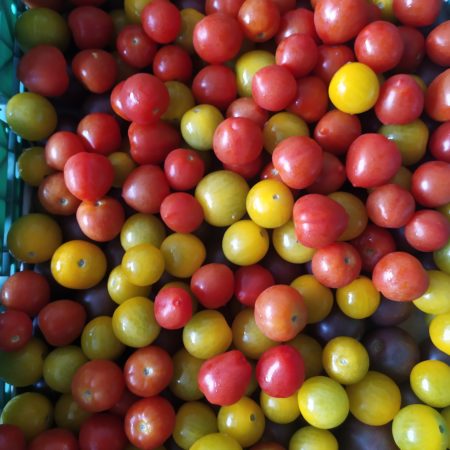 Tomate Cherry