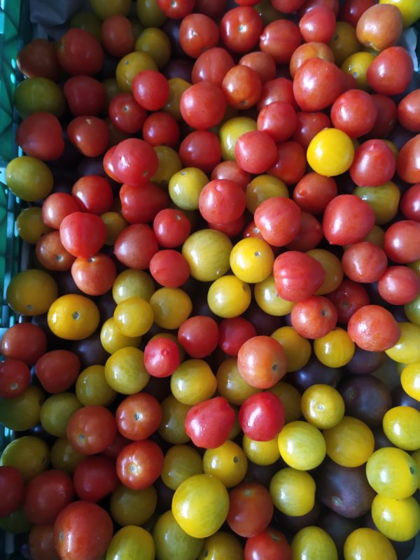 Tomate Cherry