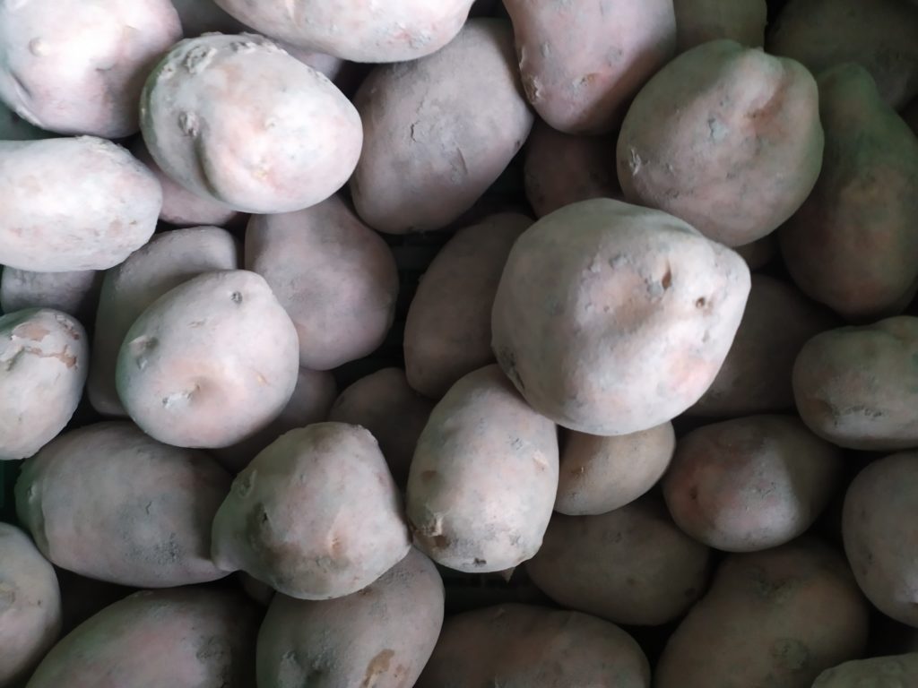 Pomme de terre