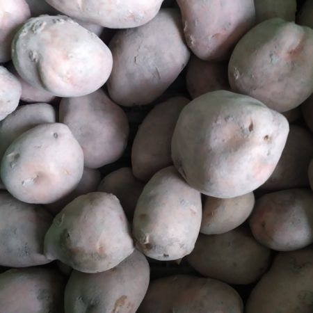 Pomme de terre