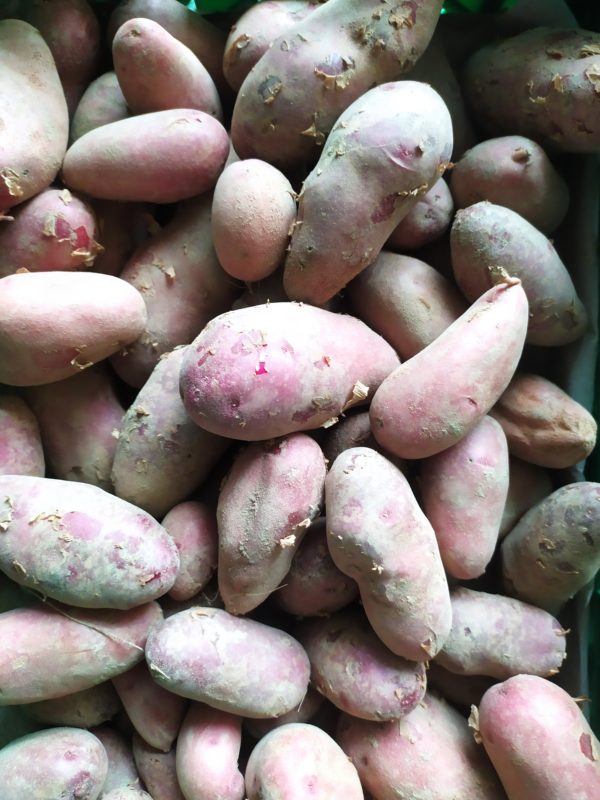 Pomme de terre Emmalie