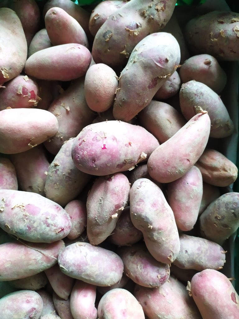 Pomme de terre Emmalie