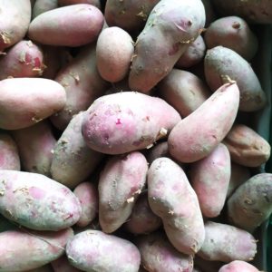 Pomme de terre Emmalie