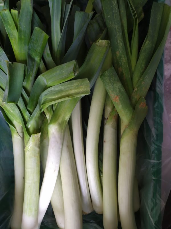 Poireau