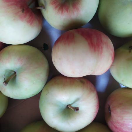 Pomme Wanda
