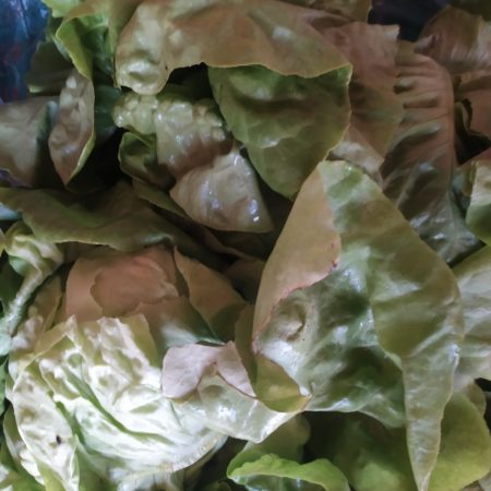 Salade