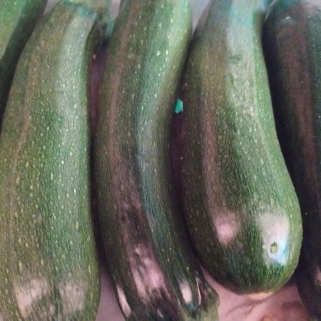Courgette