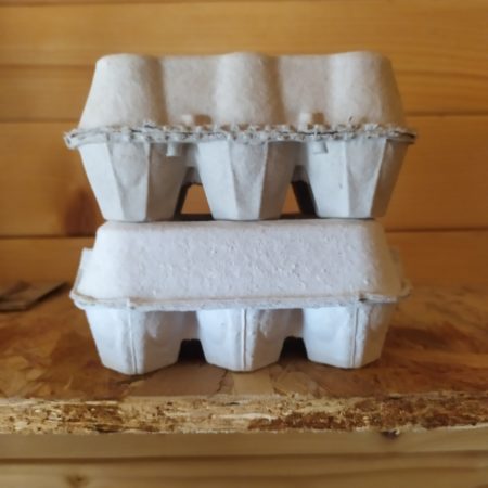 Boîte d'oeufs