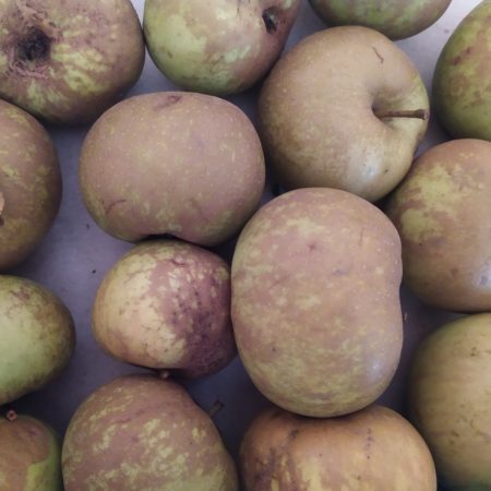 Pomme Canada