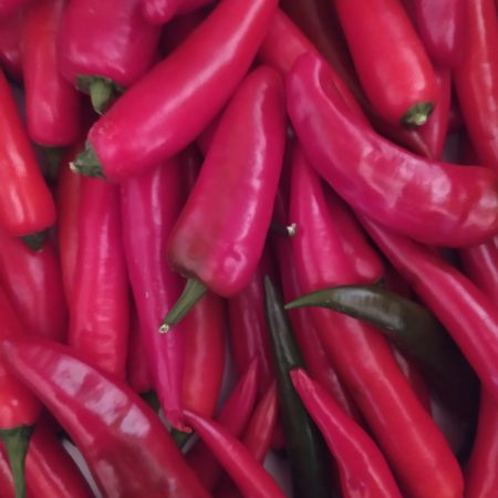 Piment