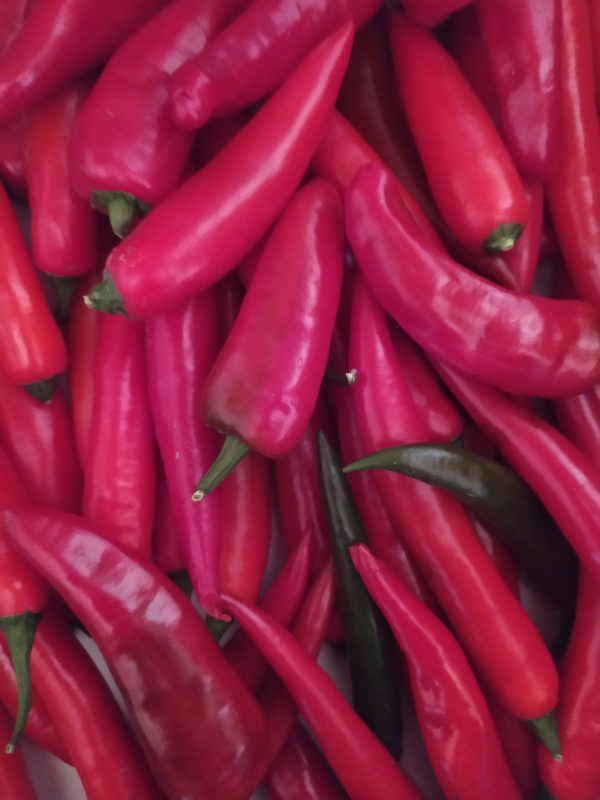 Piment