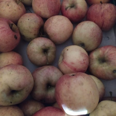 Pomme