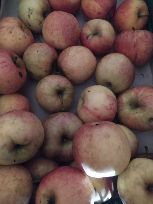 Pomme