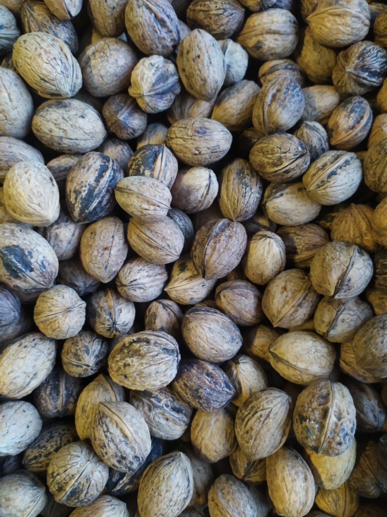Noix