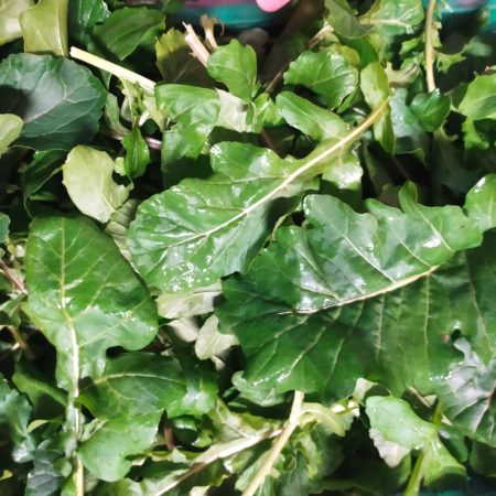 Roquette