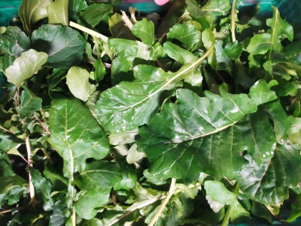 Roquette