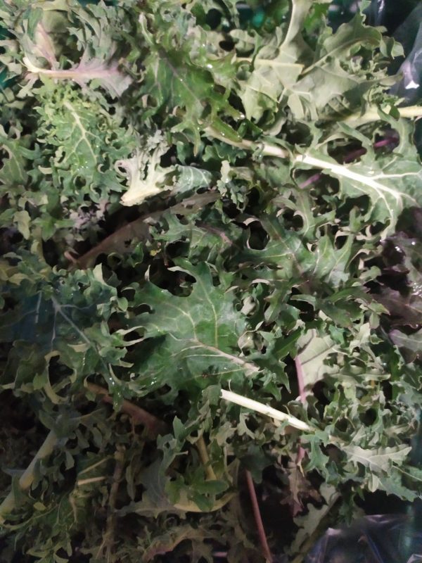 Chou kale