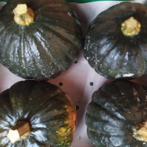 Courge kabocha