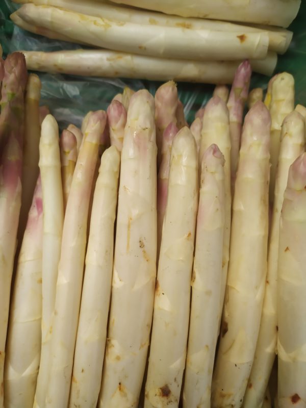 Asperge blanche