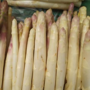 Asperge blanche