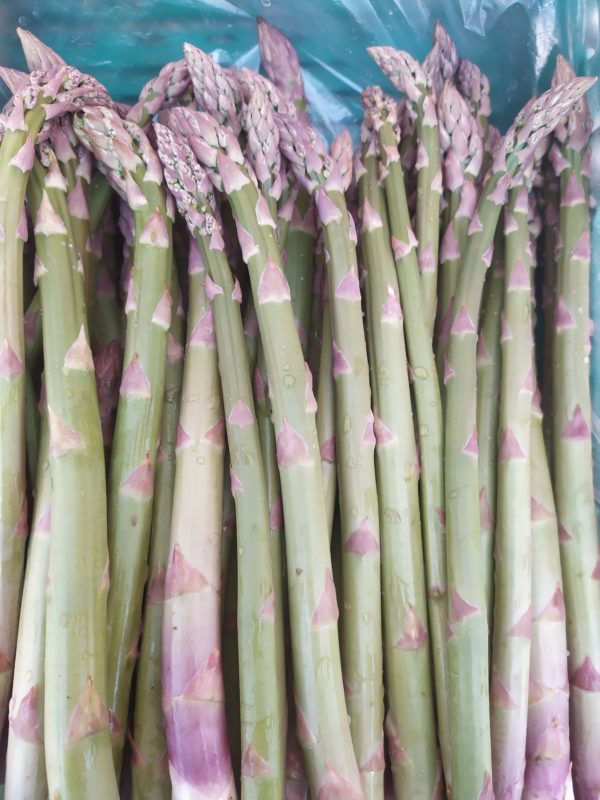 Asperge verte
