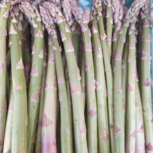 Asperge verte