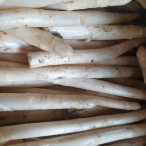 Asperge blanche 2ème choix