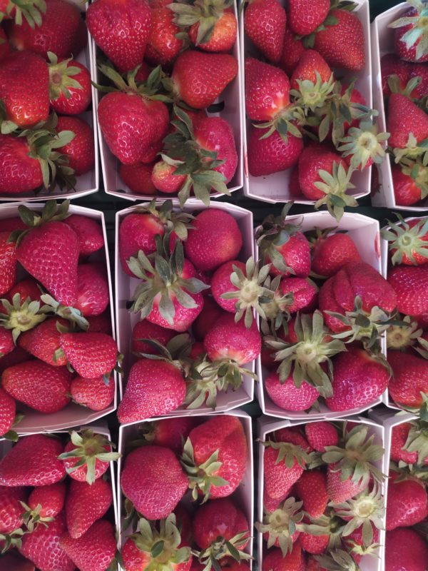 Fraise 250g