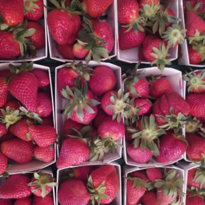 Fraise 250g