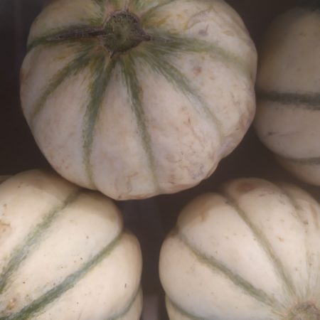 Melon