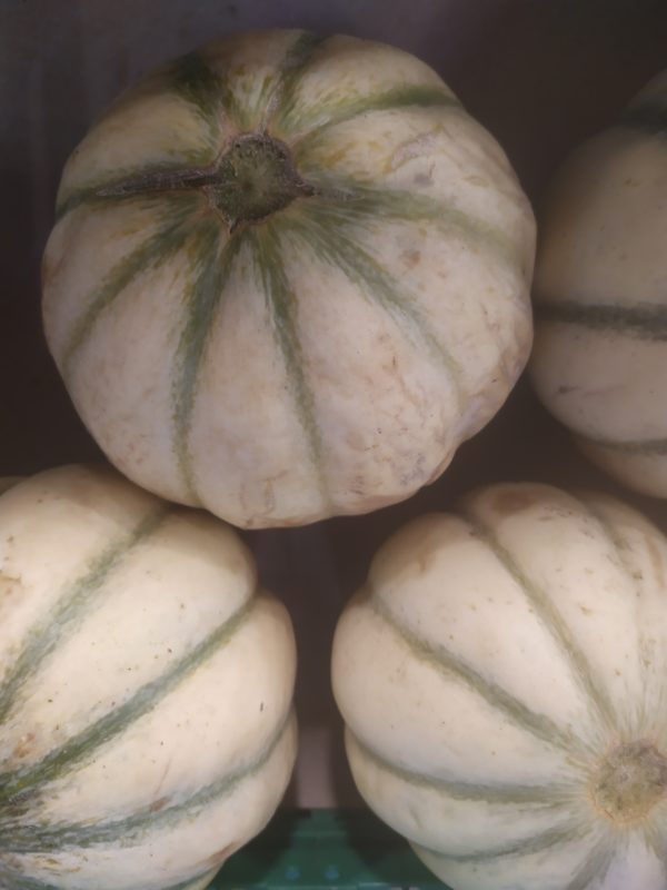Melon