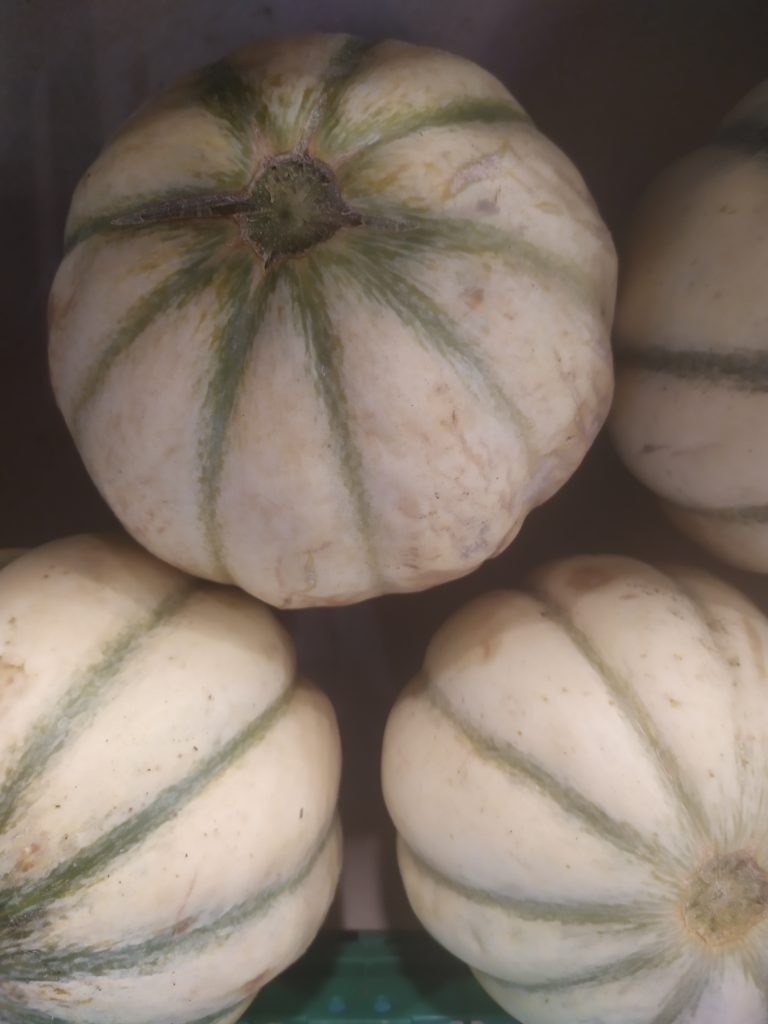 Melon