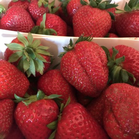 Fraises