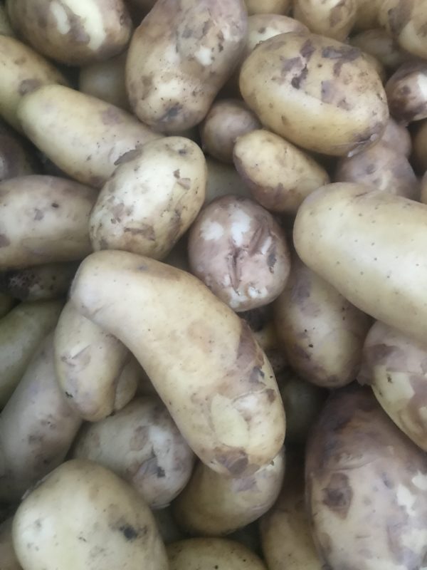pomme de terre nouvelle