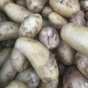pomme de terre nouvelle